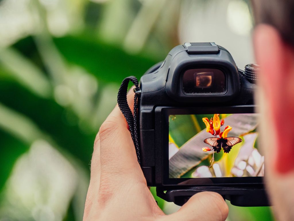 Product Photography 